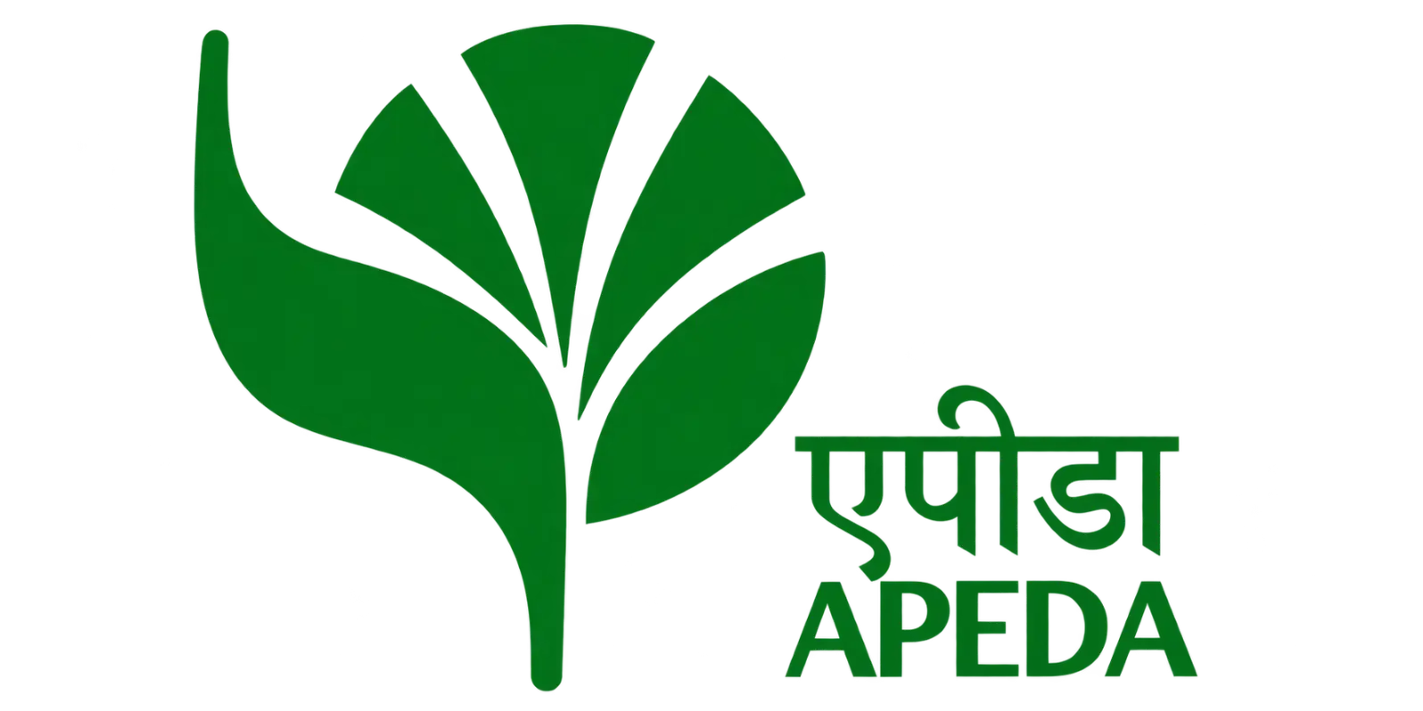 APEDA CERTIFICATION